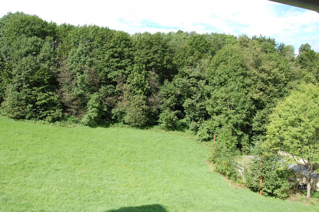 Penzion U Mustku Jiriho Rasky Trojanovice Bilik gambar